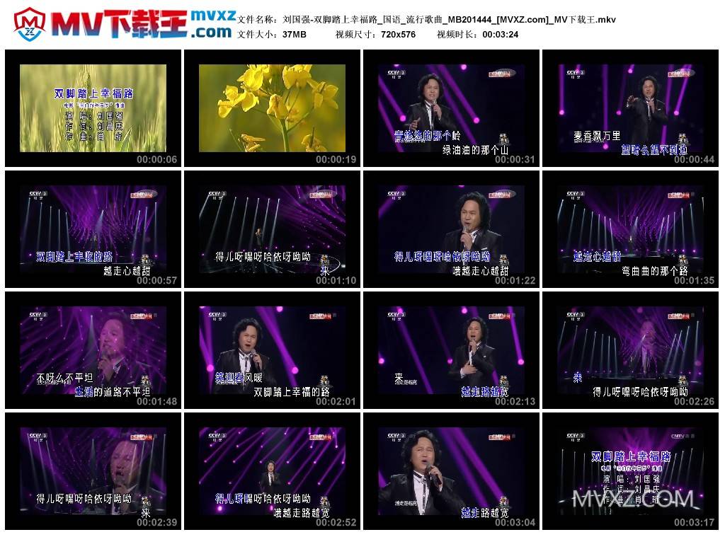 刘国强-双脚踏上幸福路_国语_流行歌曲_MB201444
